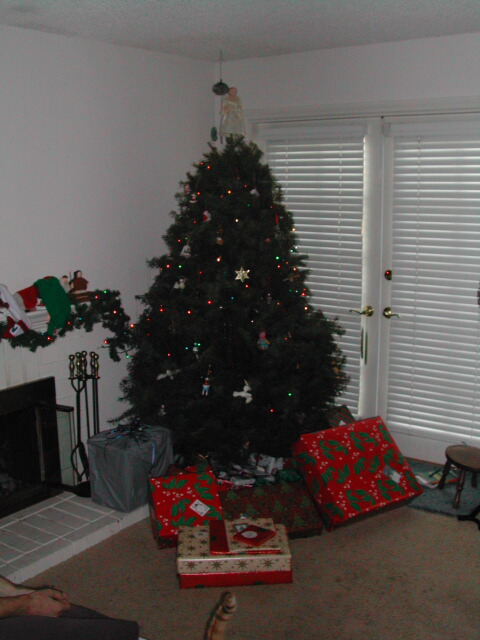 We also had a Christmas tree in Phoenix, otherwise I wouldn't have differentiated. :)